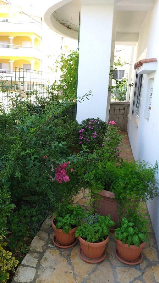 Apartment Manda Zara Esterno foto